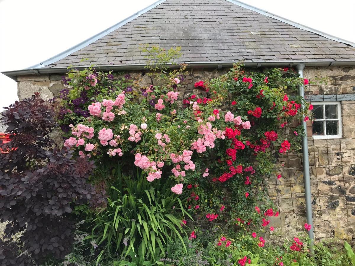 Billerwell B&B ホーイック エクステリア 写真